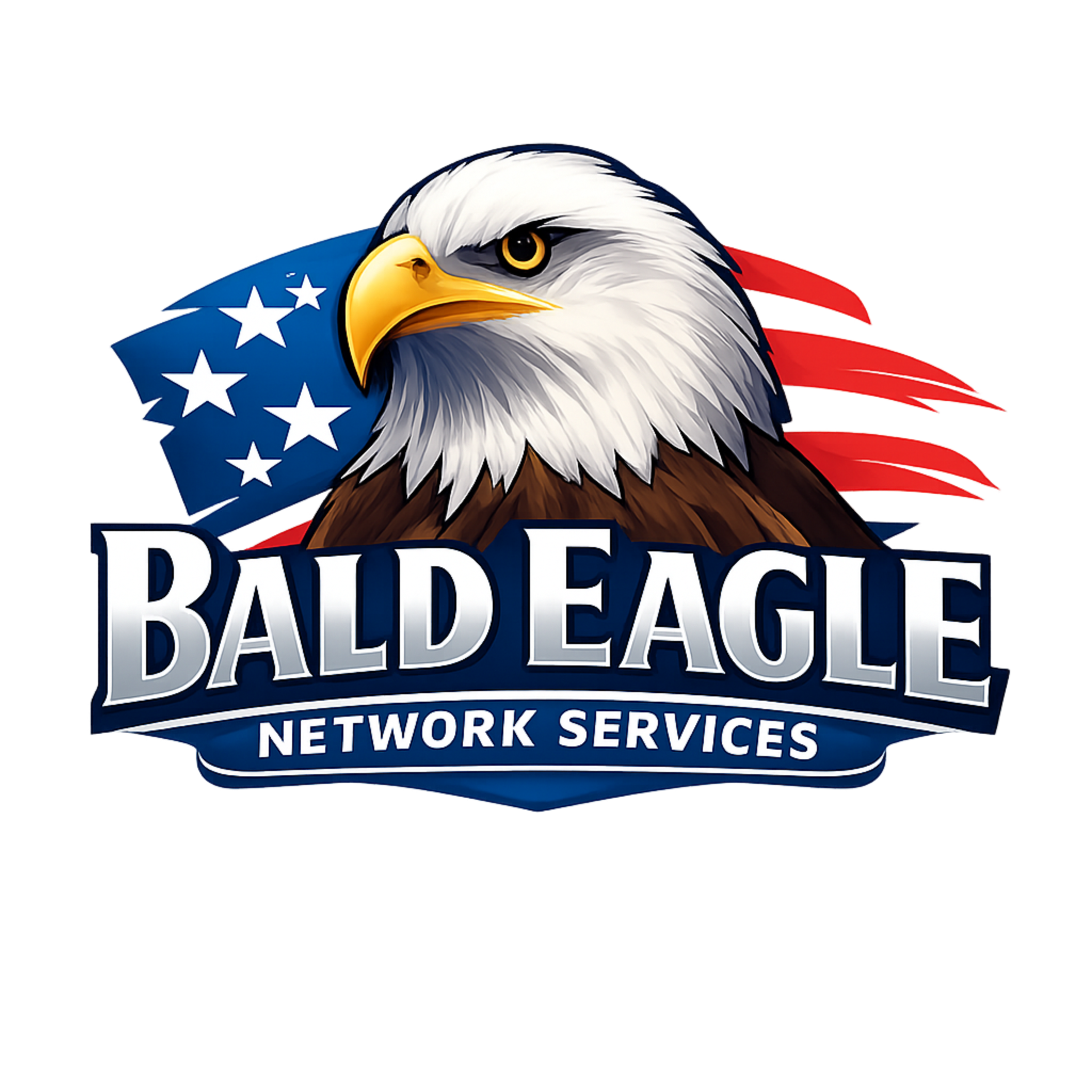 Bald Eagle Network Services